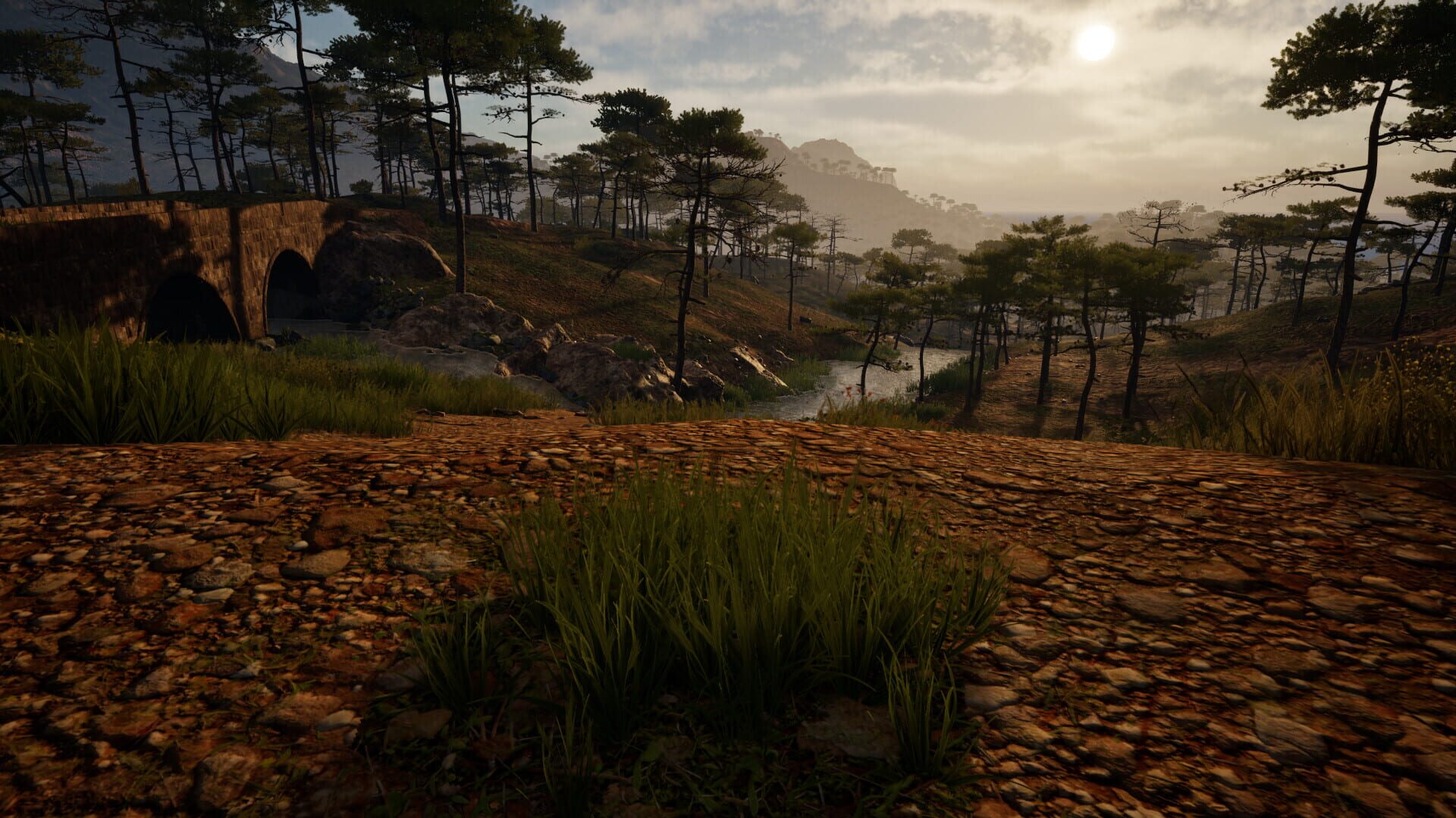 Foto do jogo Grass Life Sim 2