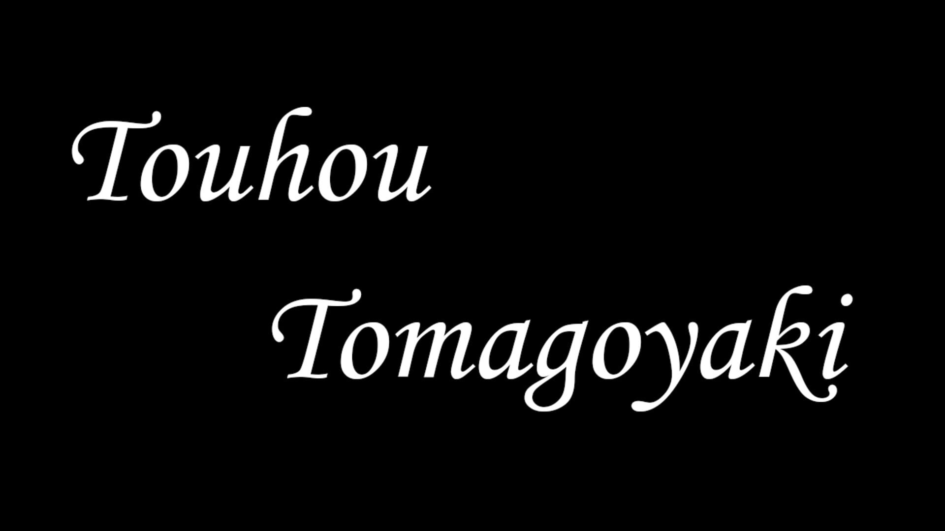 Foto do jogo Touhou Mistystory