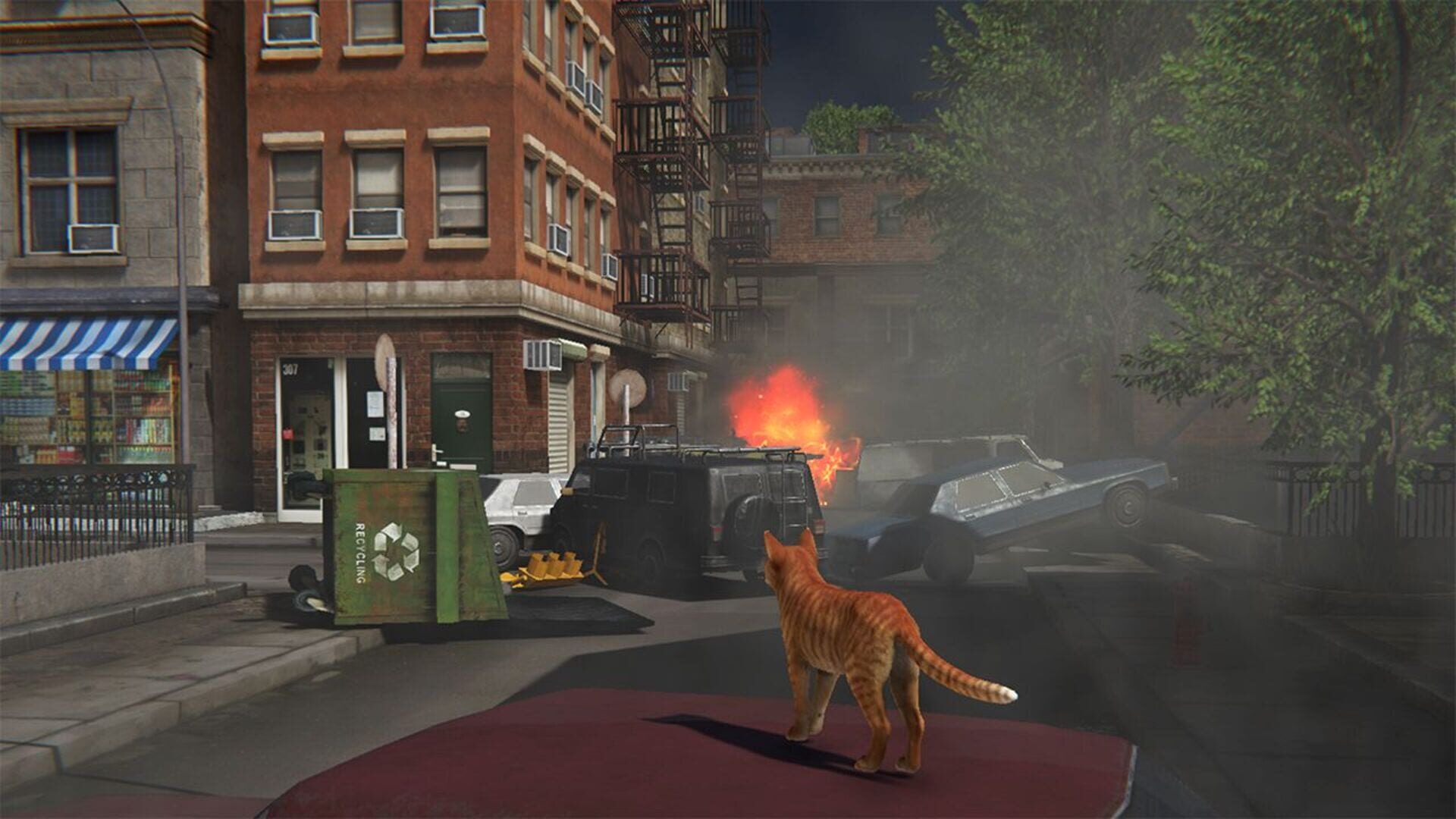 Foto do jogo Little Strays 2