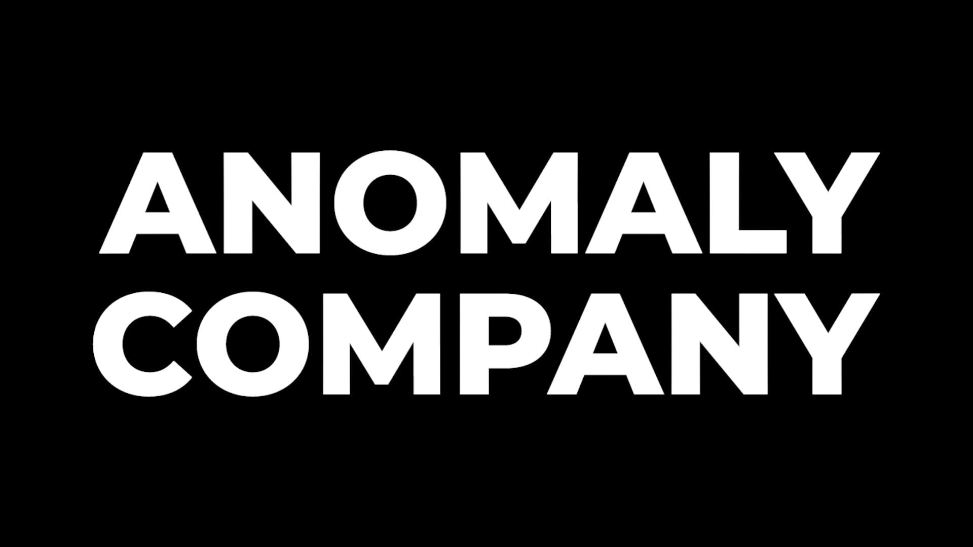 Foto do jogo Anomaly Company