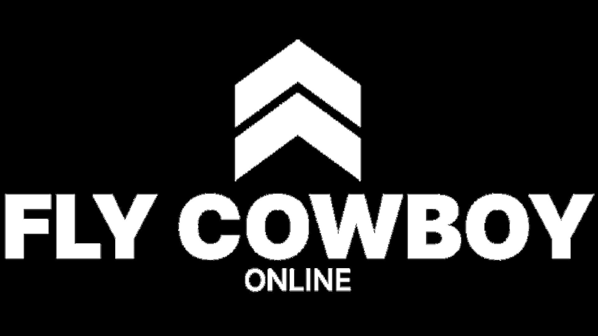 Foto do jogo Fly Cowboy Online