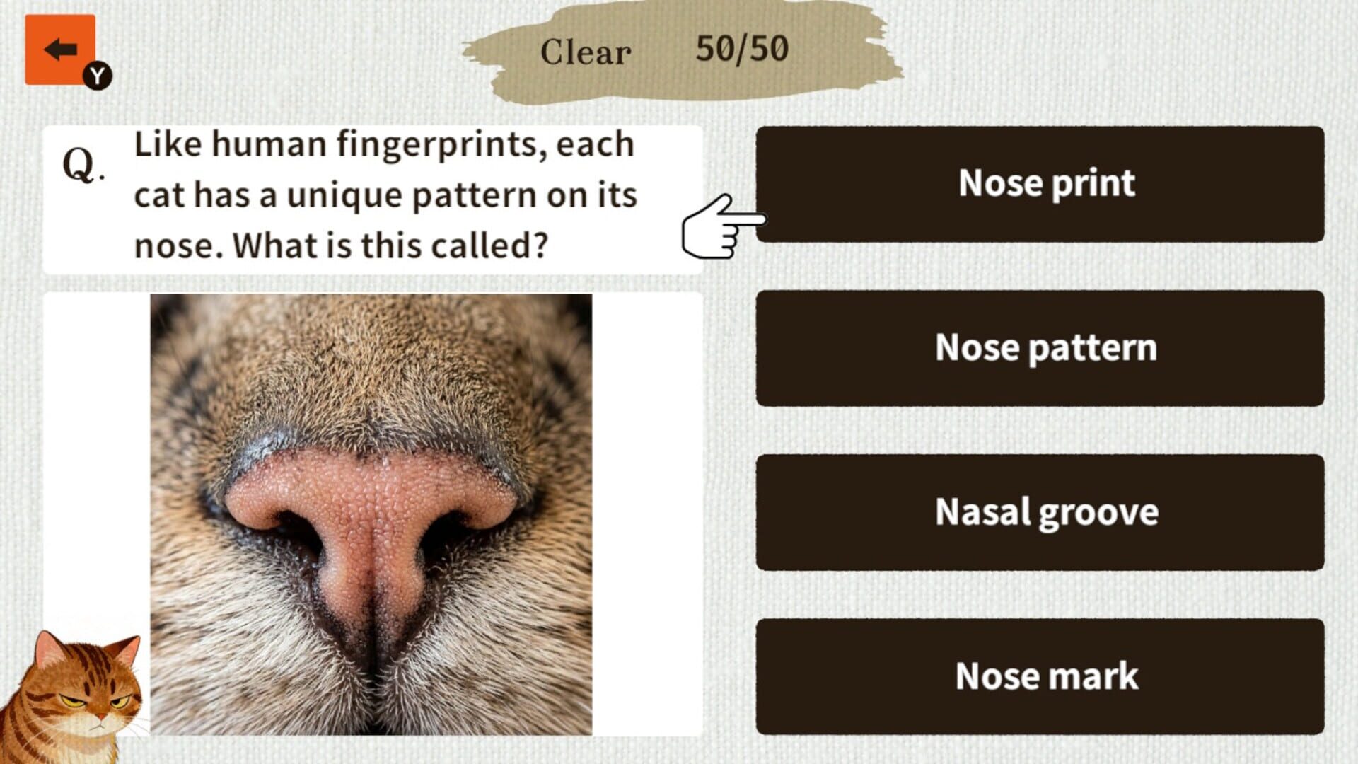 Foto do jogo Cat Doctor: For Loyal Servants