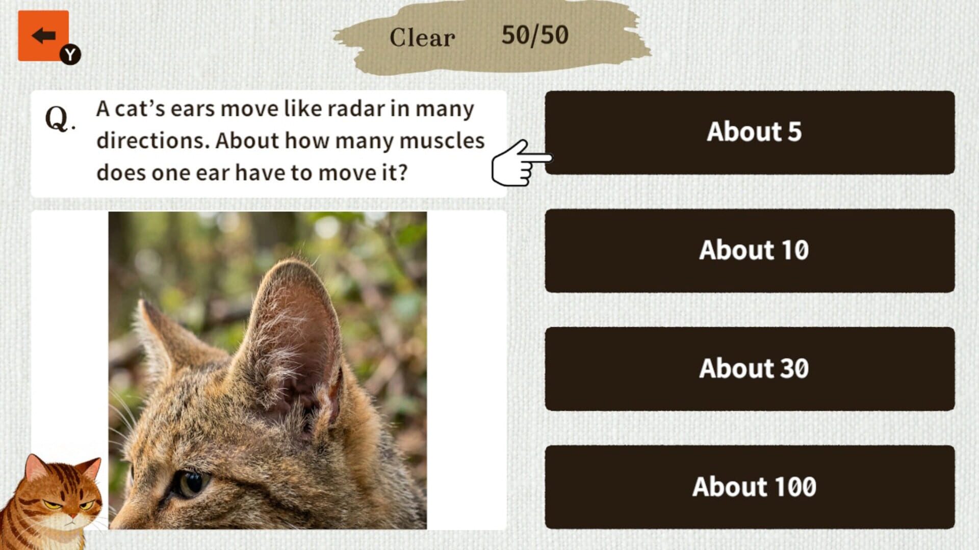 Foto do jogo Cat Doctor: For Loyal Servants