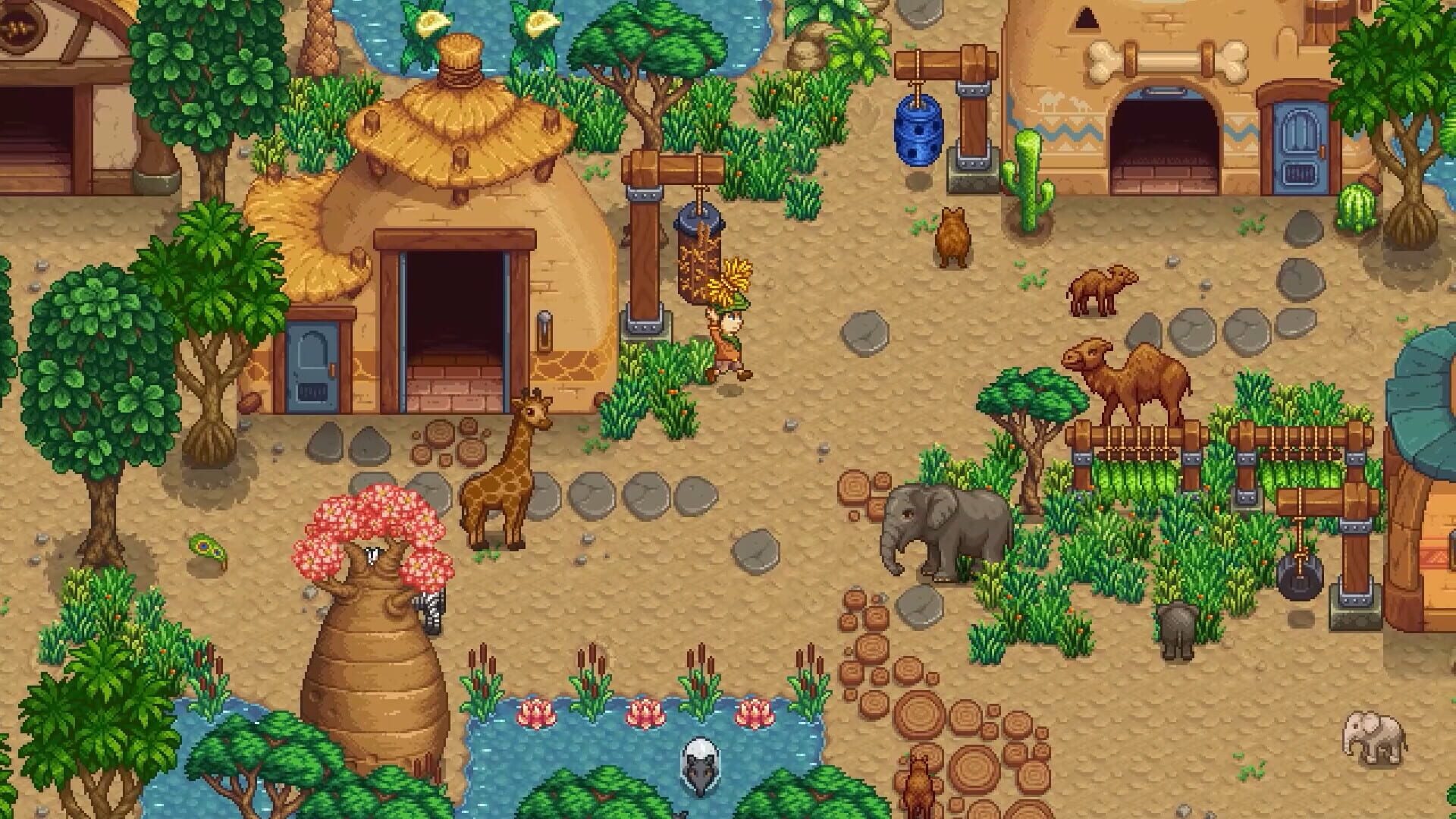 Foto do jogo Super Zoo Story