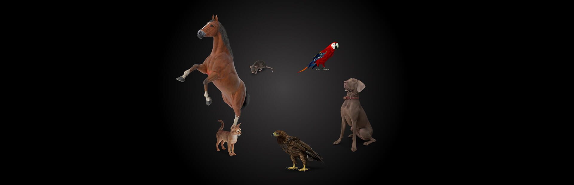 Foto do jogo Animal Trainer