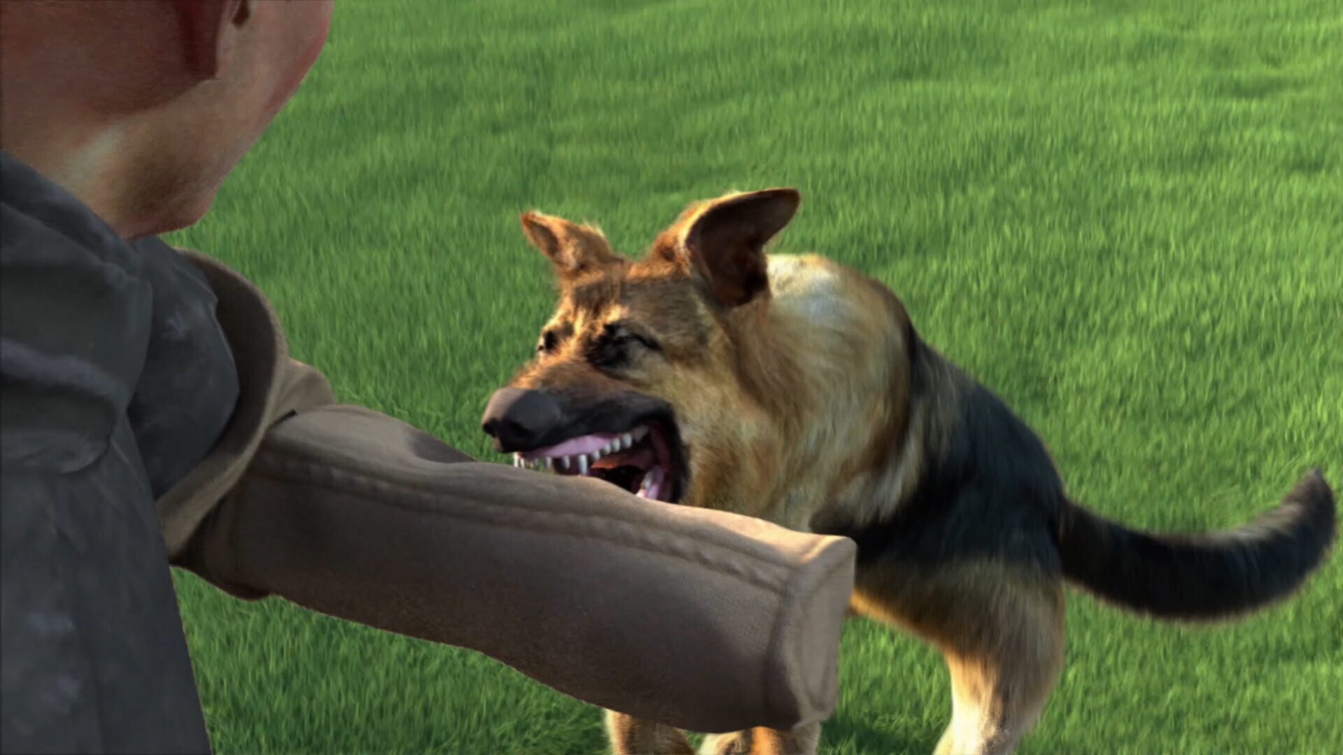 Foto do jogo Animal Trainer