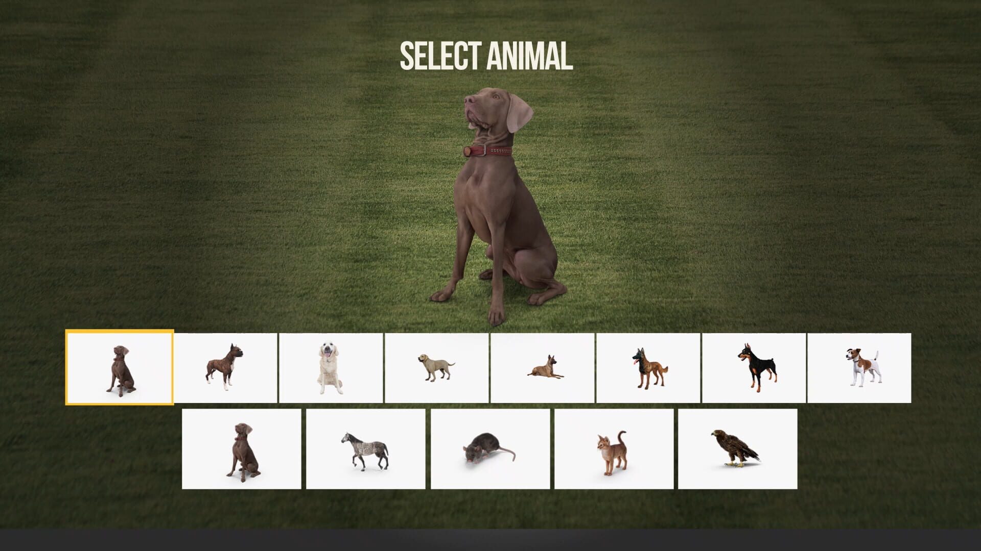 Foto do jogo Animal Trainer