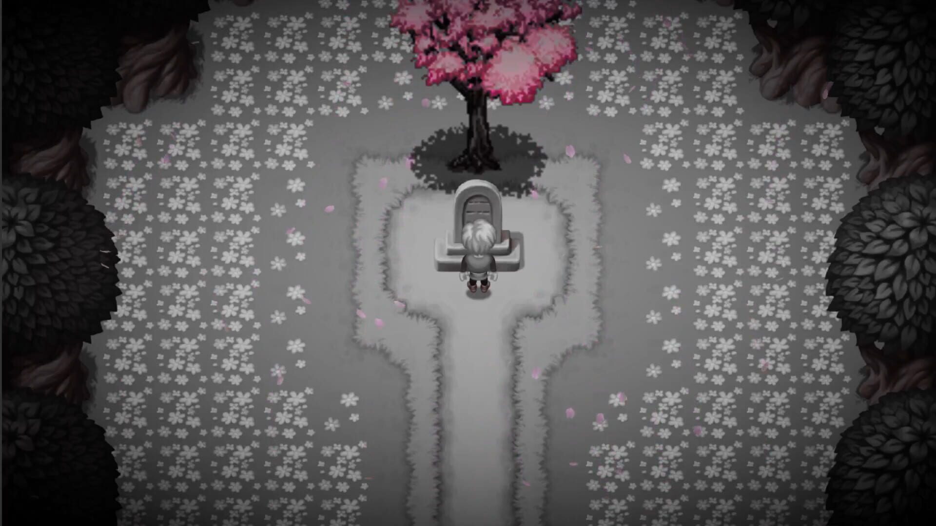 Foto do jogo Awakening the Light