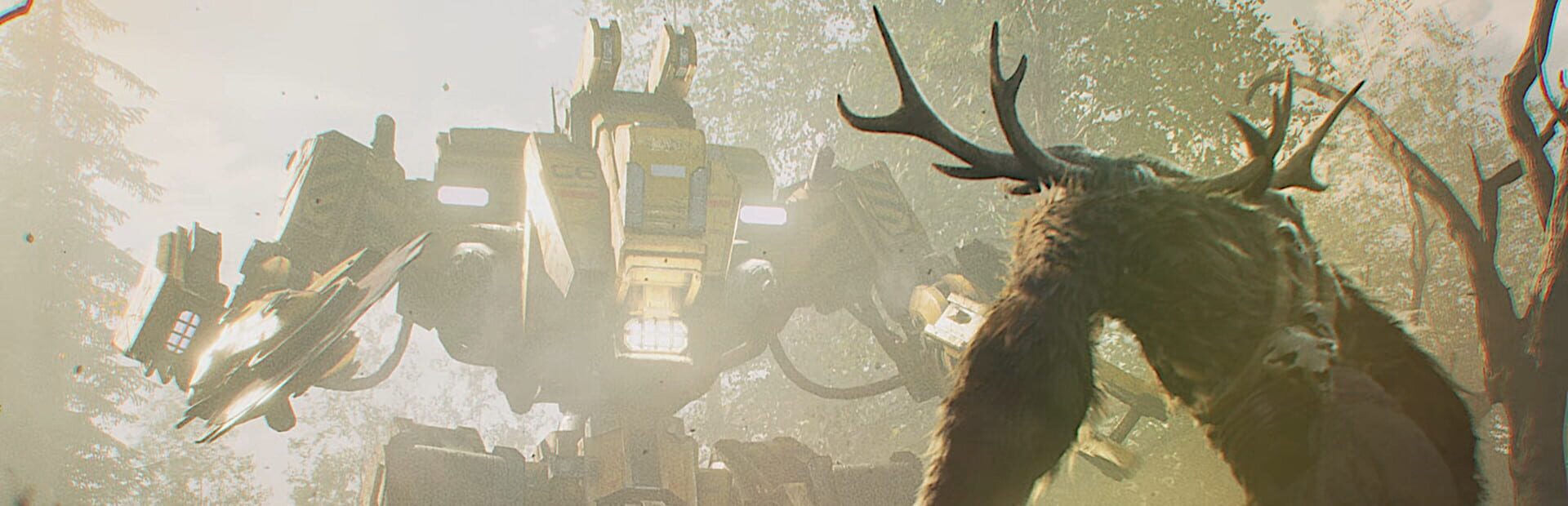 Foto do jogo Leshy