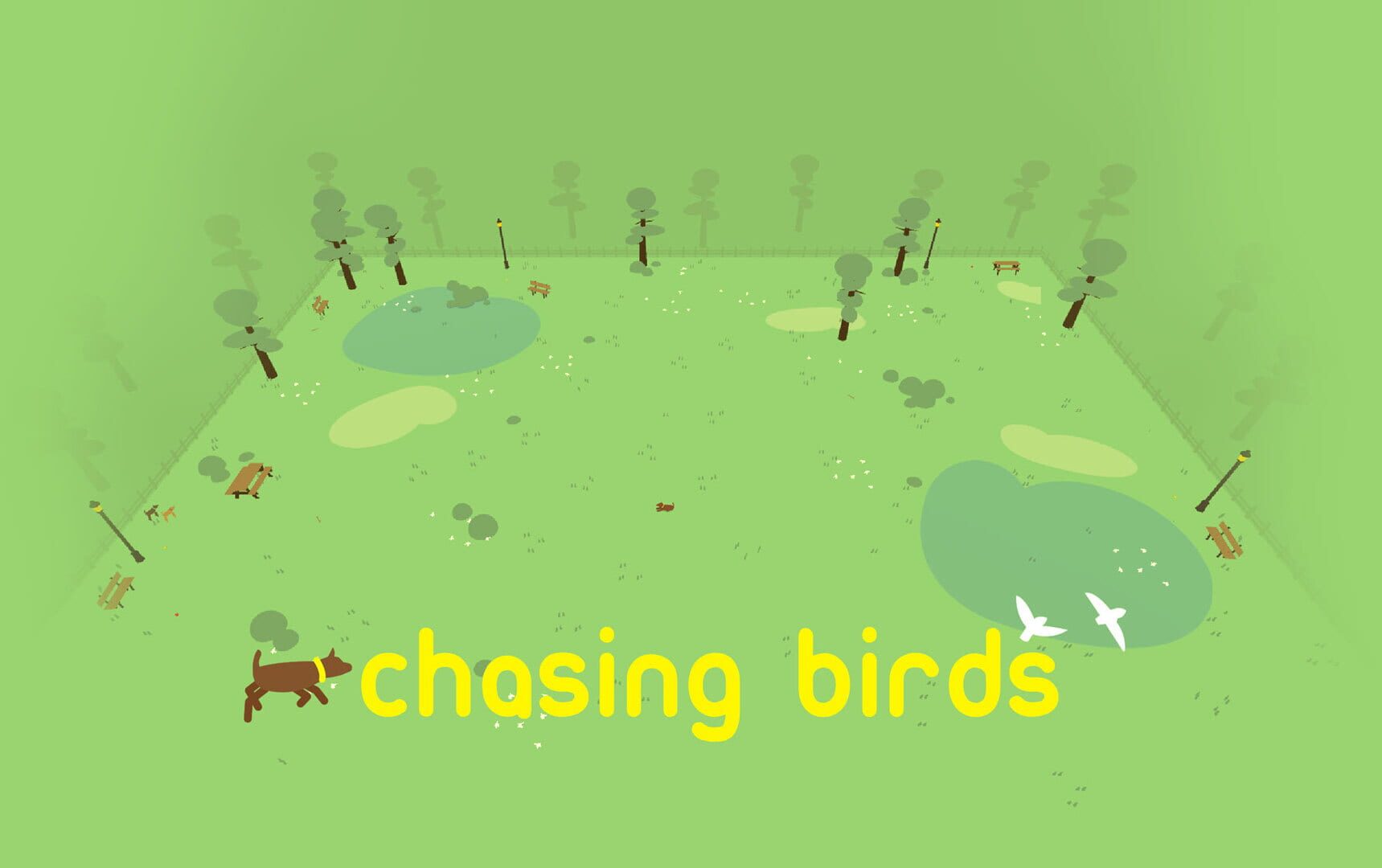 Foto do jogo Chasing Birds