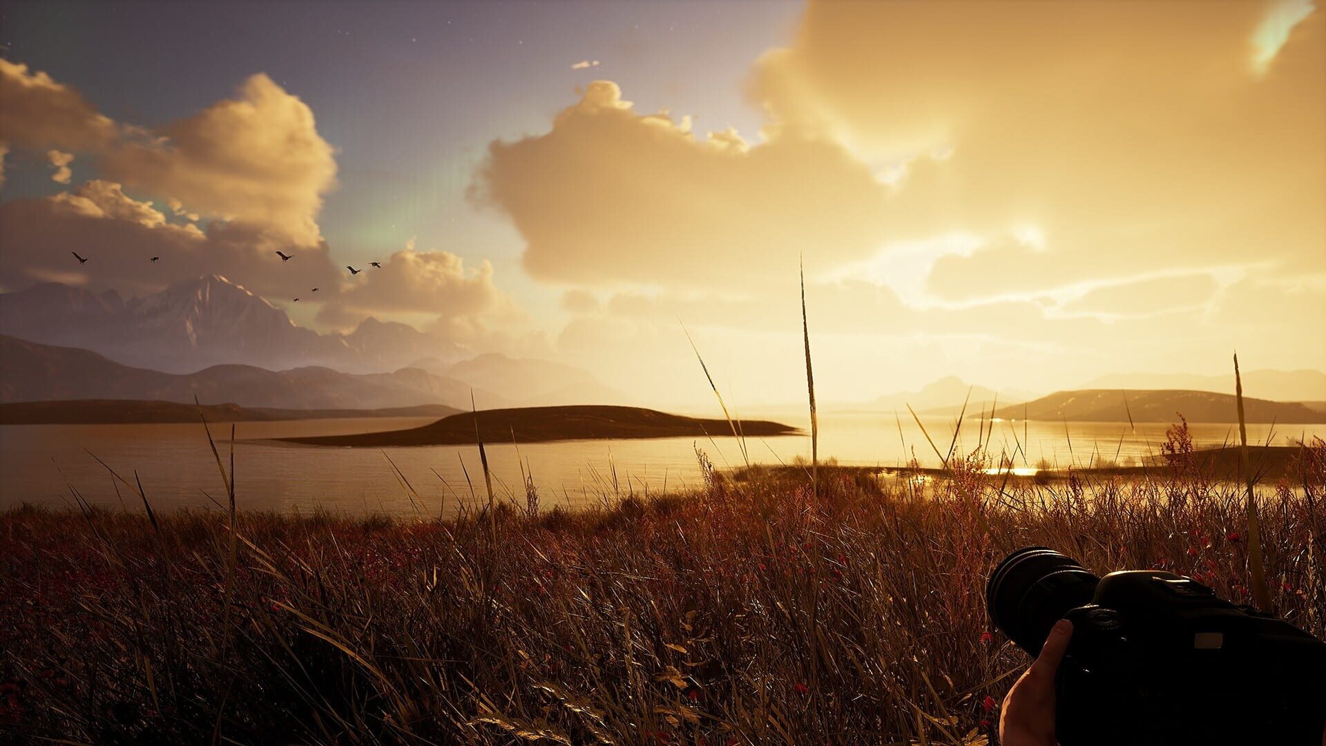 Foto do jogo Photography Simulator