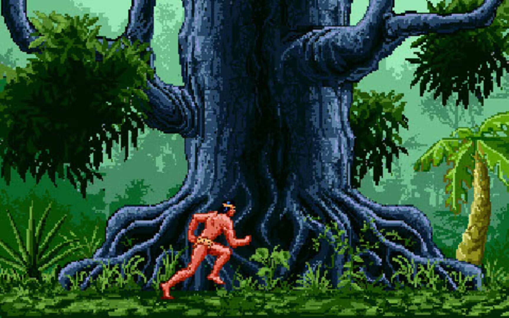 Foto do jogo Tarzan