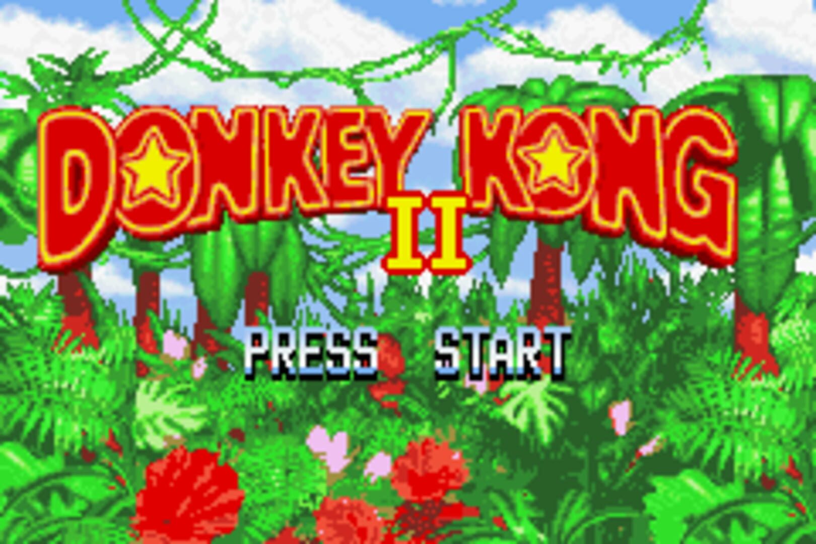 Foto do jogo Donkey Kong 2