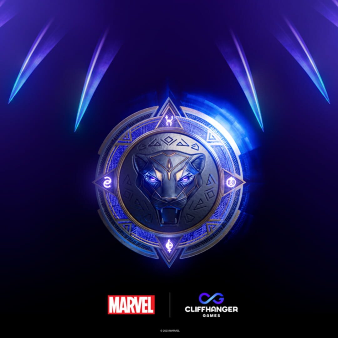Foto do jogo Untitled Black Panther Game