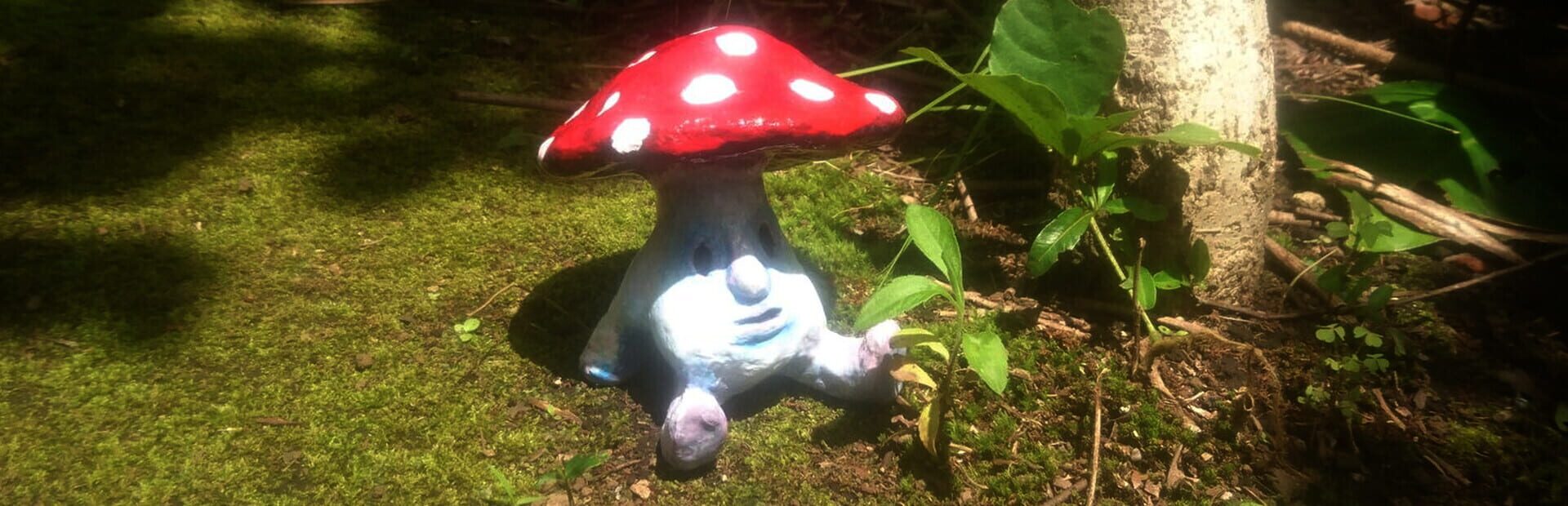 Foto do jogo Mushroom Collection