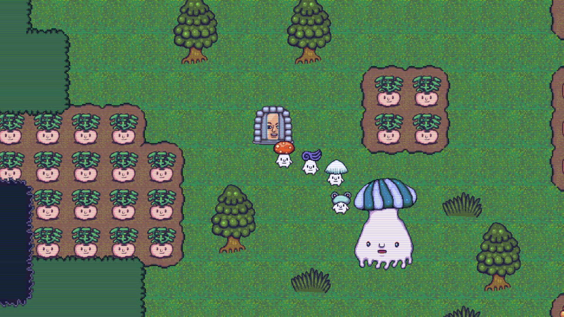 Foto do jogo Mushroom Collection