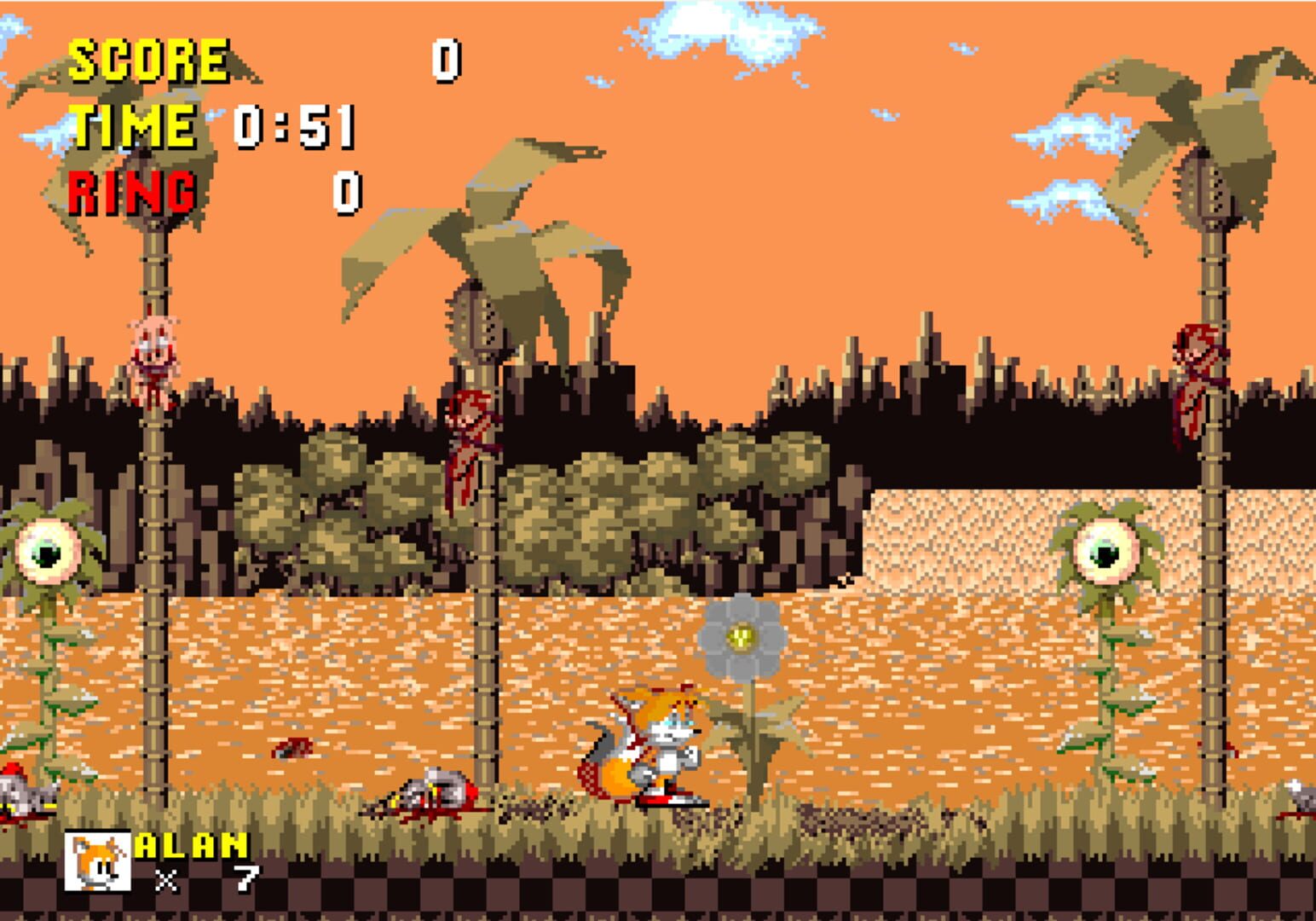 Foto do jogo Sonic PC Port Remake
