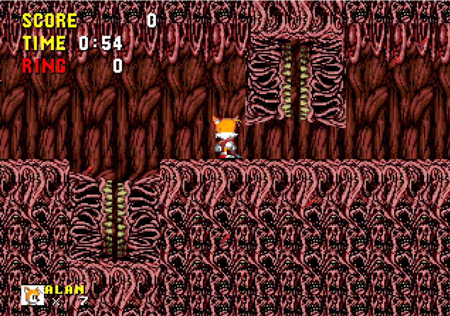 Foto do jogo Sonic PC Port Remake