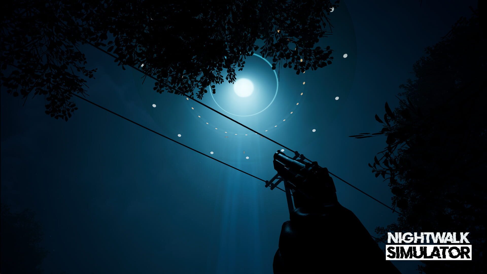 Foto do jogo Nightwalk Simulator