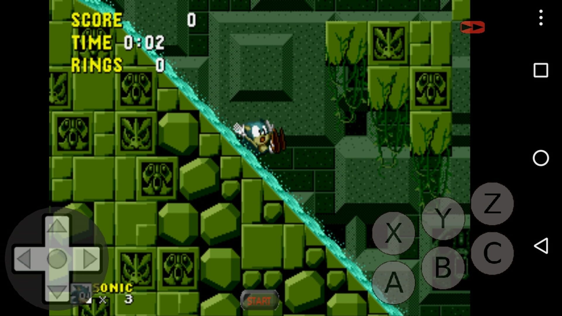 Foto do jogo Poyo Poyo Sonic