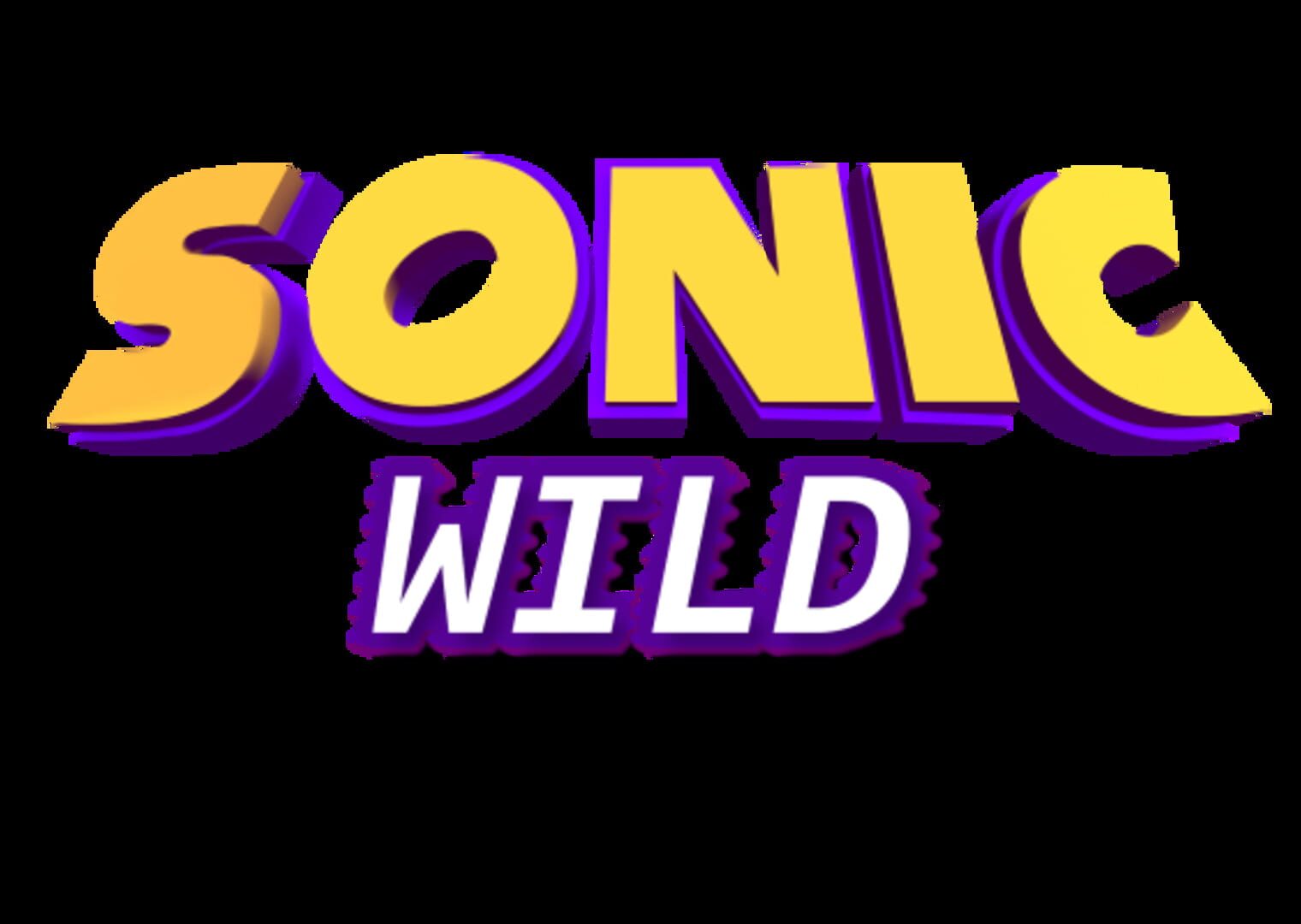 Foto do jogo Sonic Wild