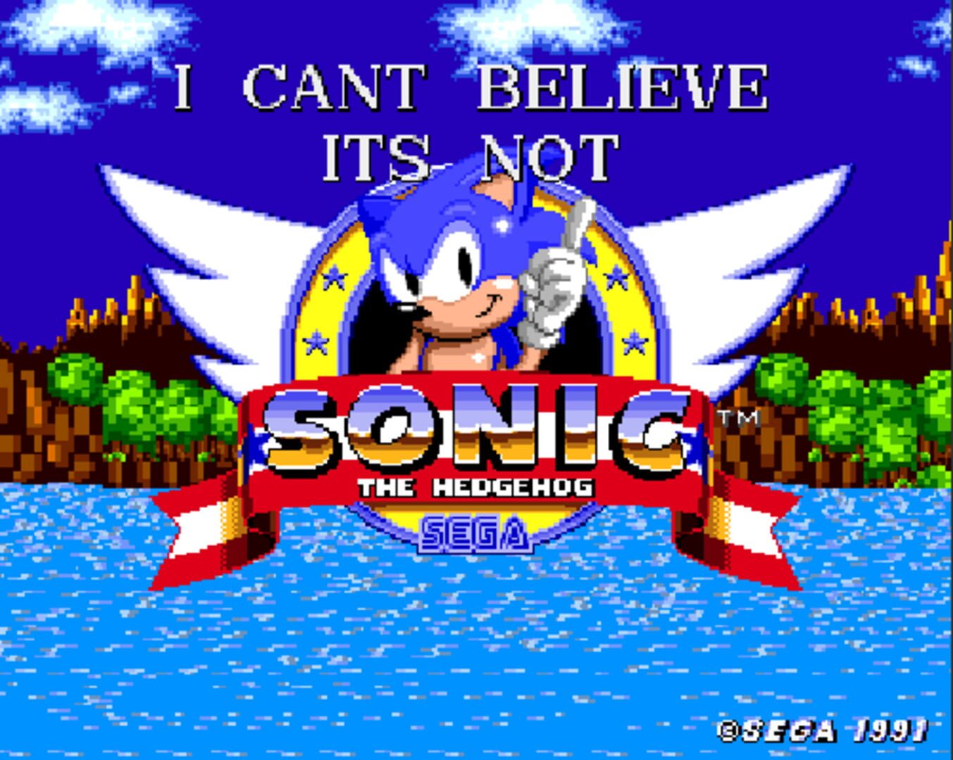 Foto do jogo I Can't Believe it's Not Sonic 1