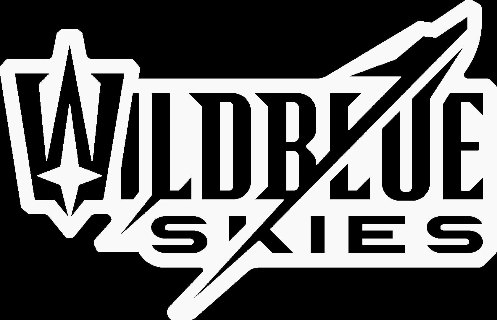 Foto do jogo Wild Blue Skies