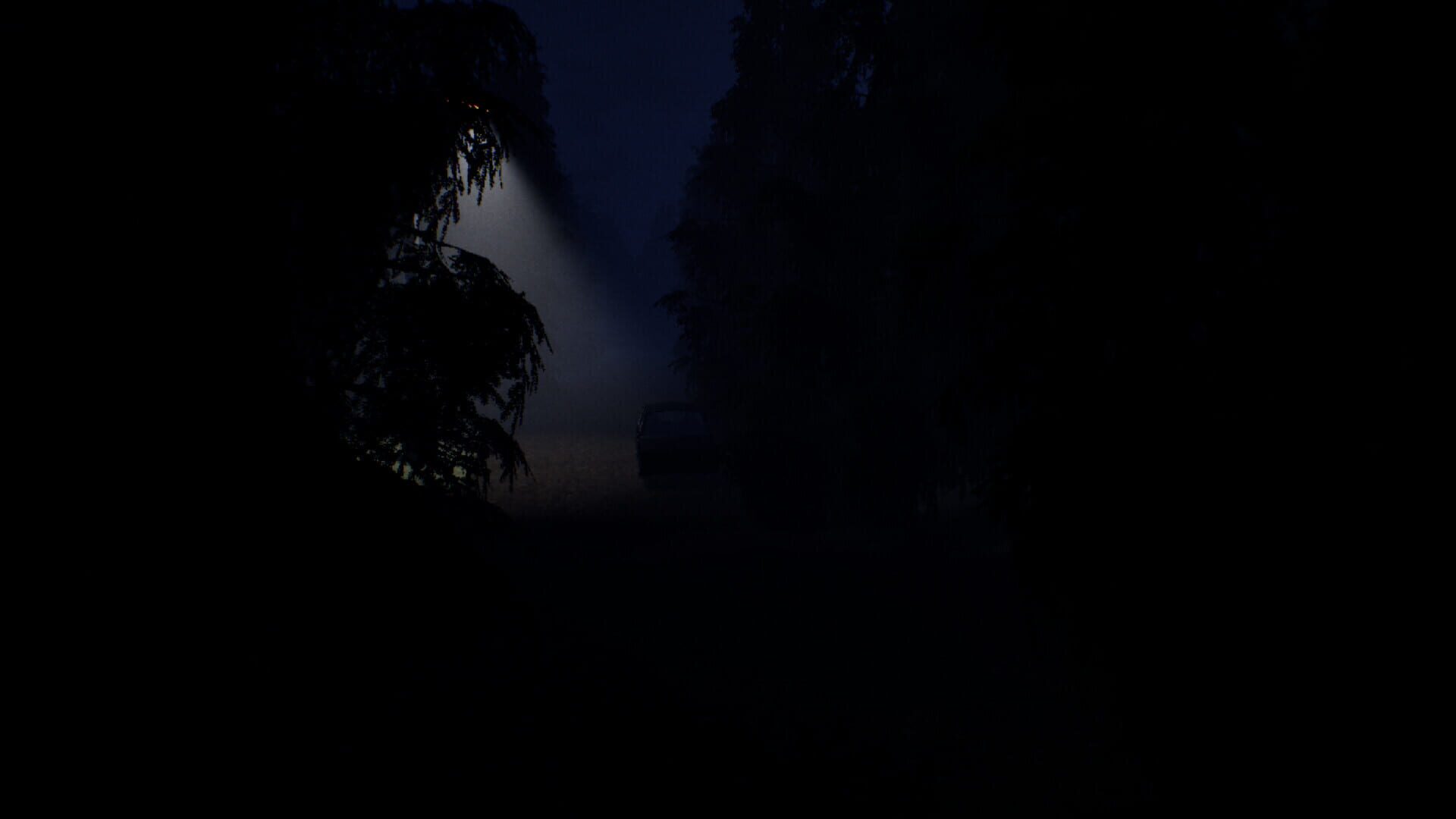 Foto do jogo Blackwood: Beneath the Silence