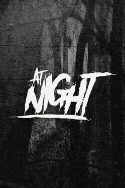 Foto do jogo At Night