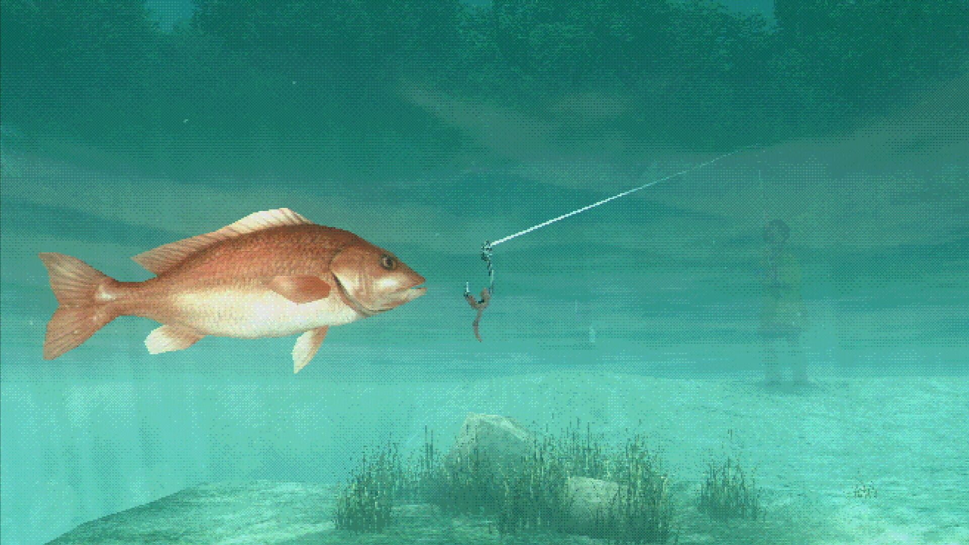 Foto do jogo About Fishing