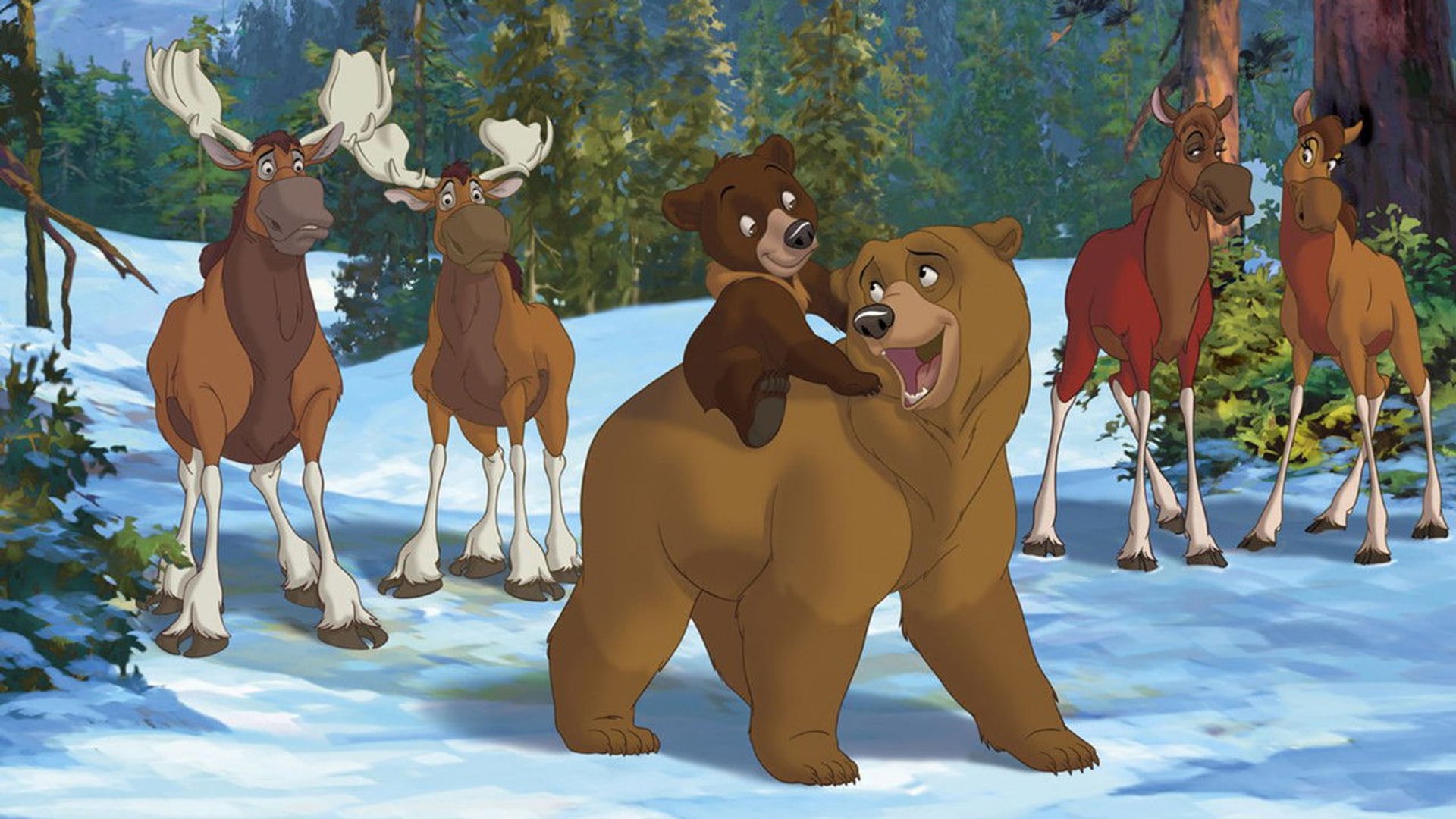 Foto do filme Irmão Urso 2