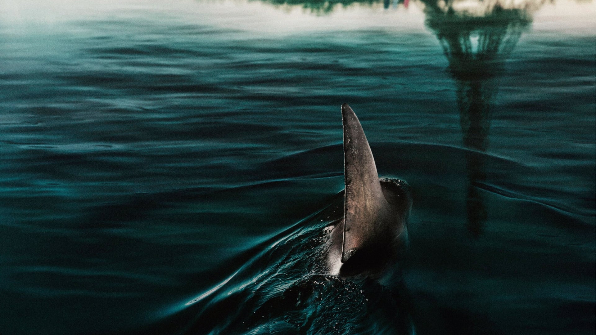 Foto do filme Sob as Águas do Sena