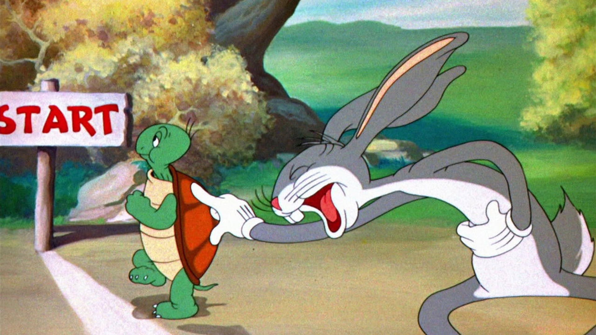 Foto do filme Tortoise Beats Hare