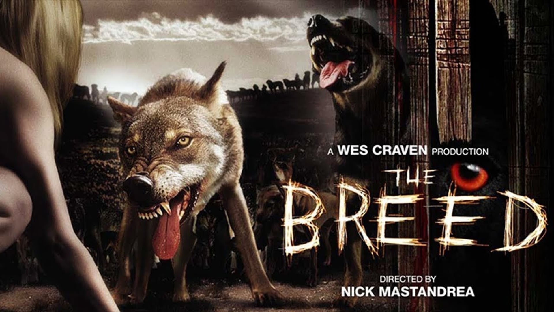 Foto do filme Cães Assassinos