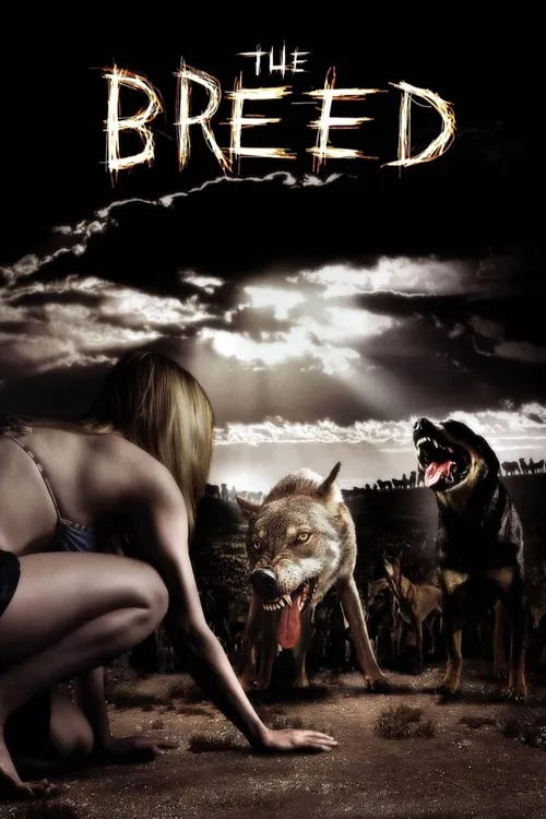 Cães Assassinos