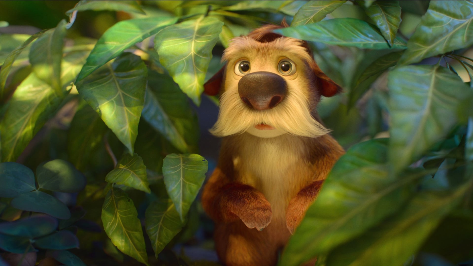 Foto do filme Como Mágica