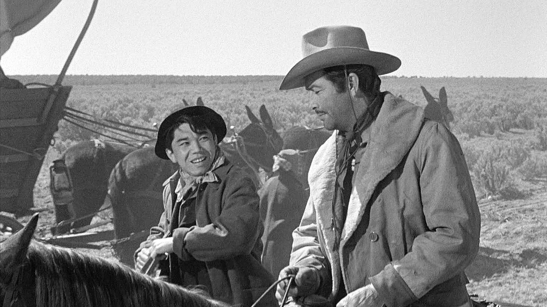 Foto do filme Caravana de Mulheres