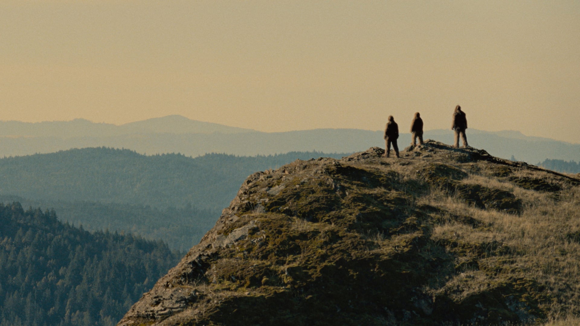 Foto do filme Sasquatch Sunset