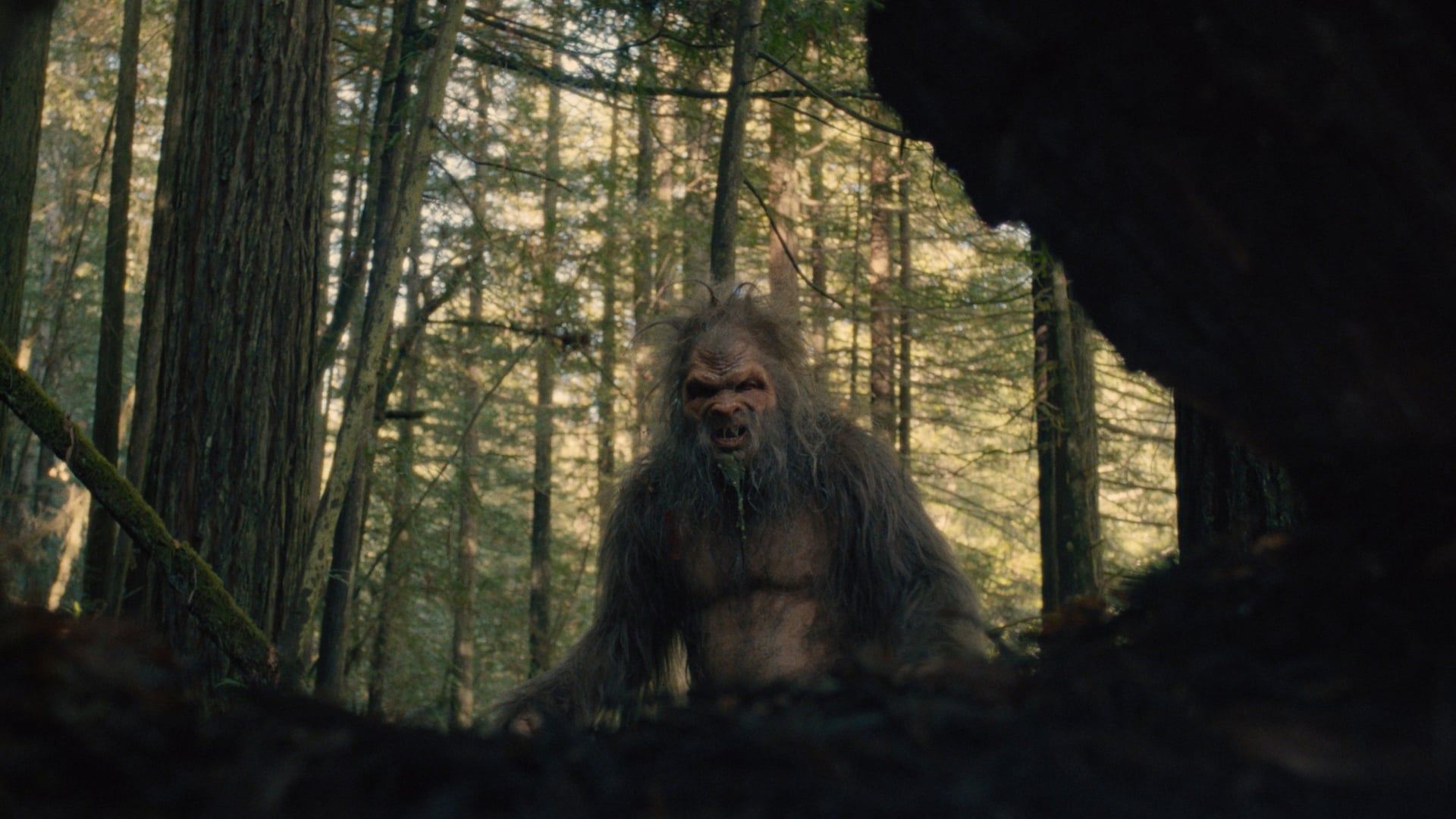 Foto do filme Sasquatch Sunset