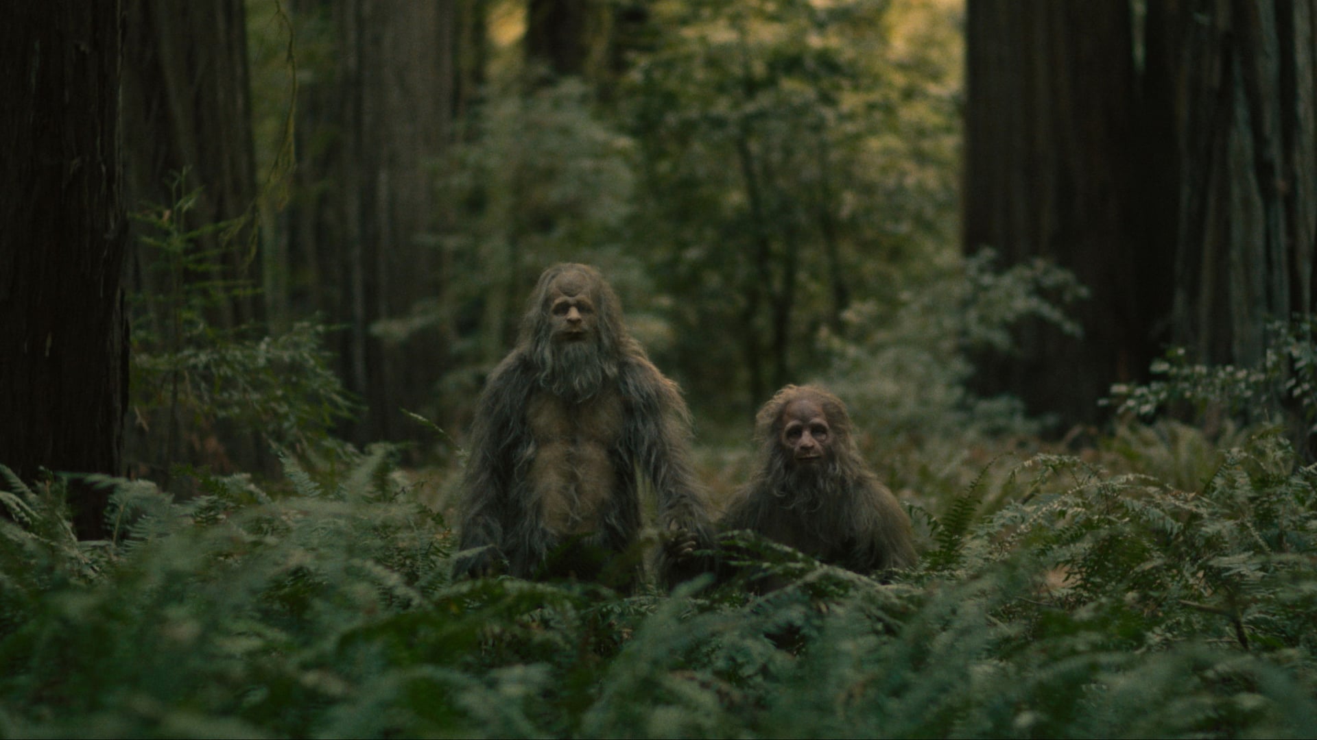 Foto do filme Sasquatch Sunset