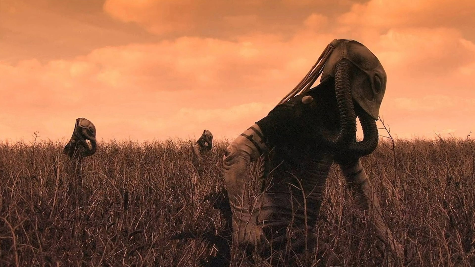 Foto do filme Evil Aliens: Um Novo Contato