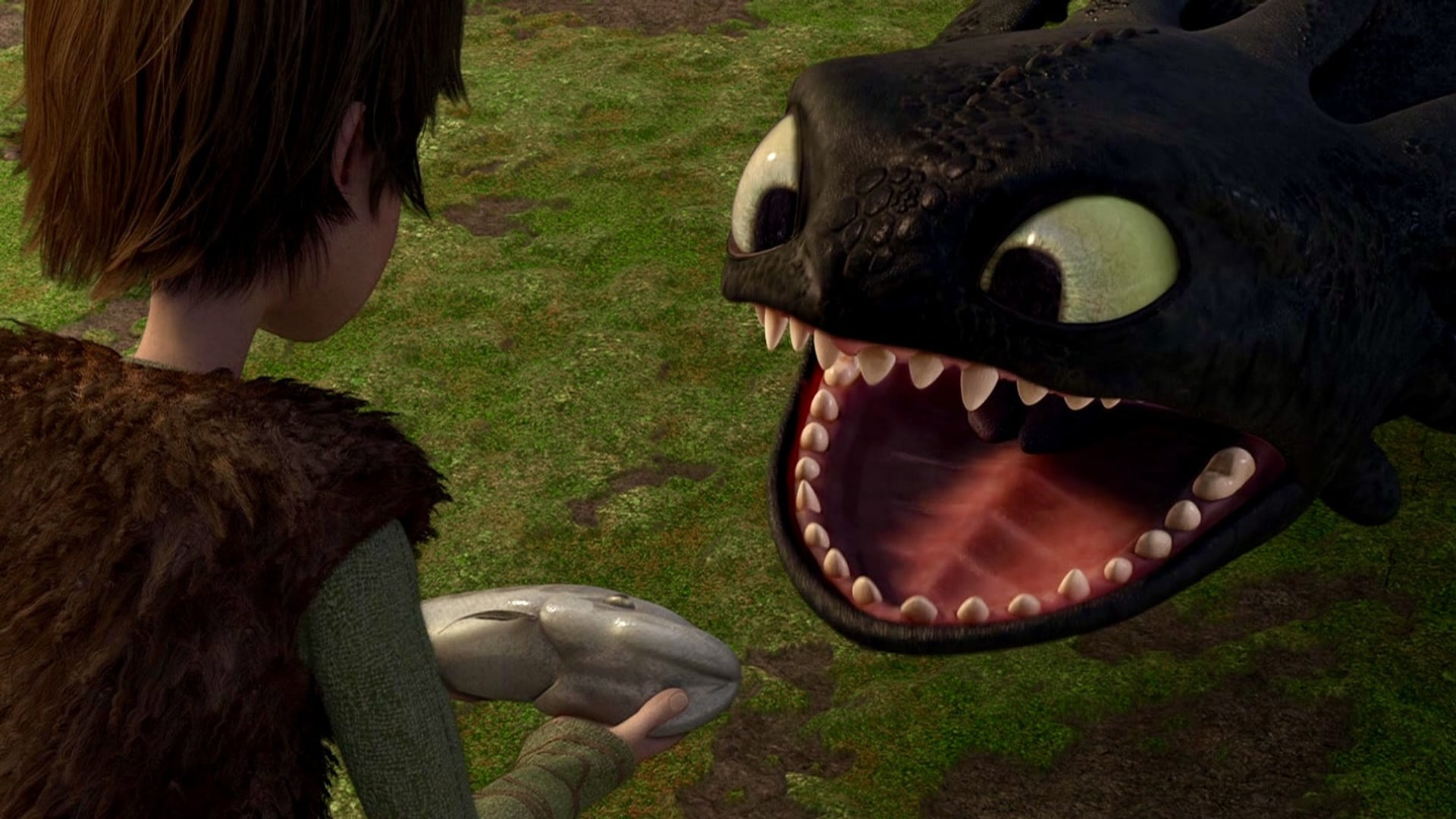 Foto do filme Como Treinar o Seu Dragão