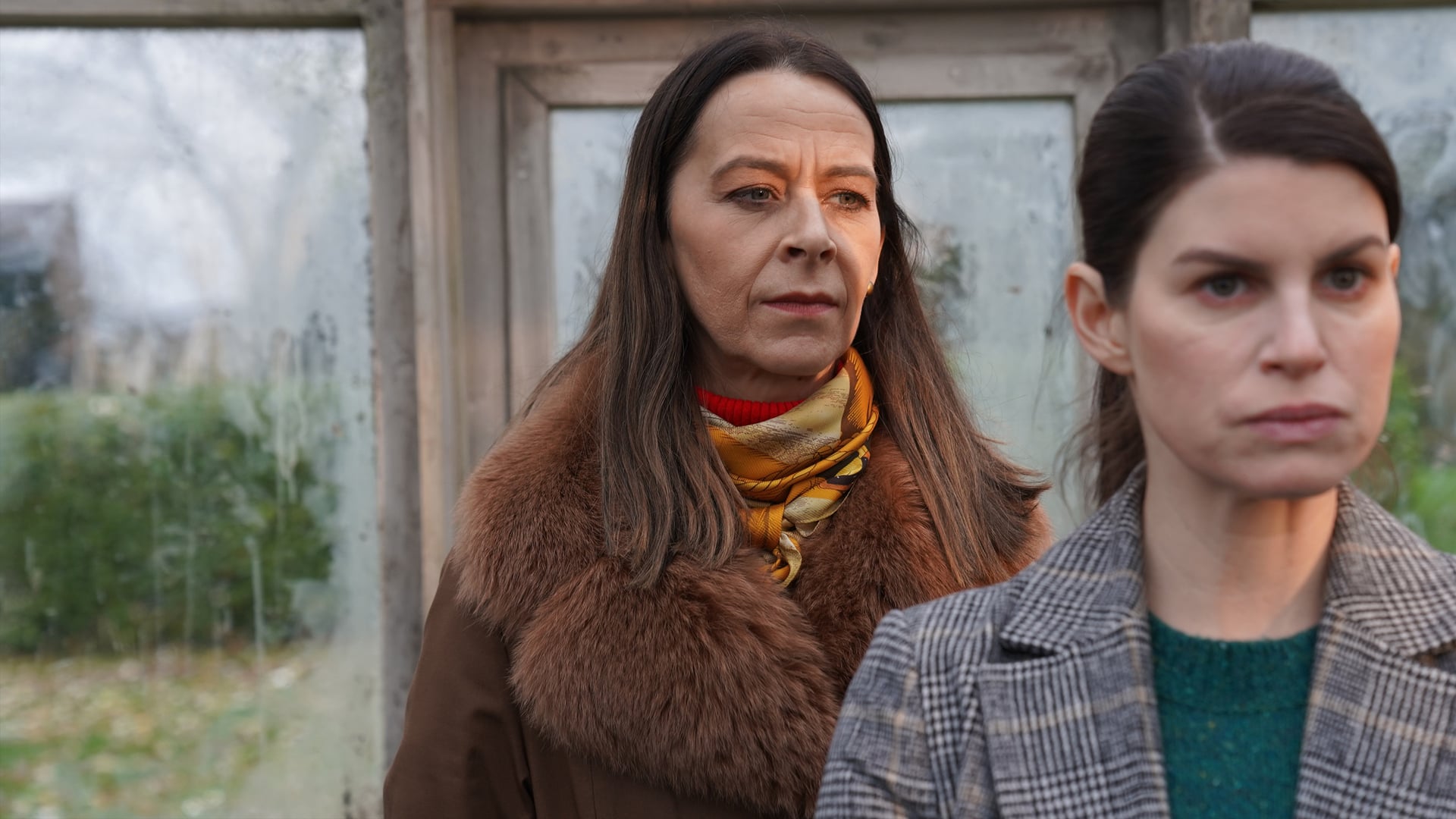 Foto do filme A Matriarca