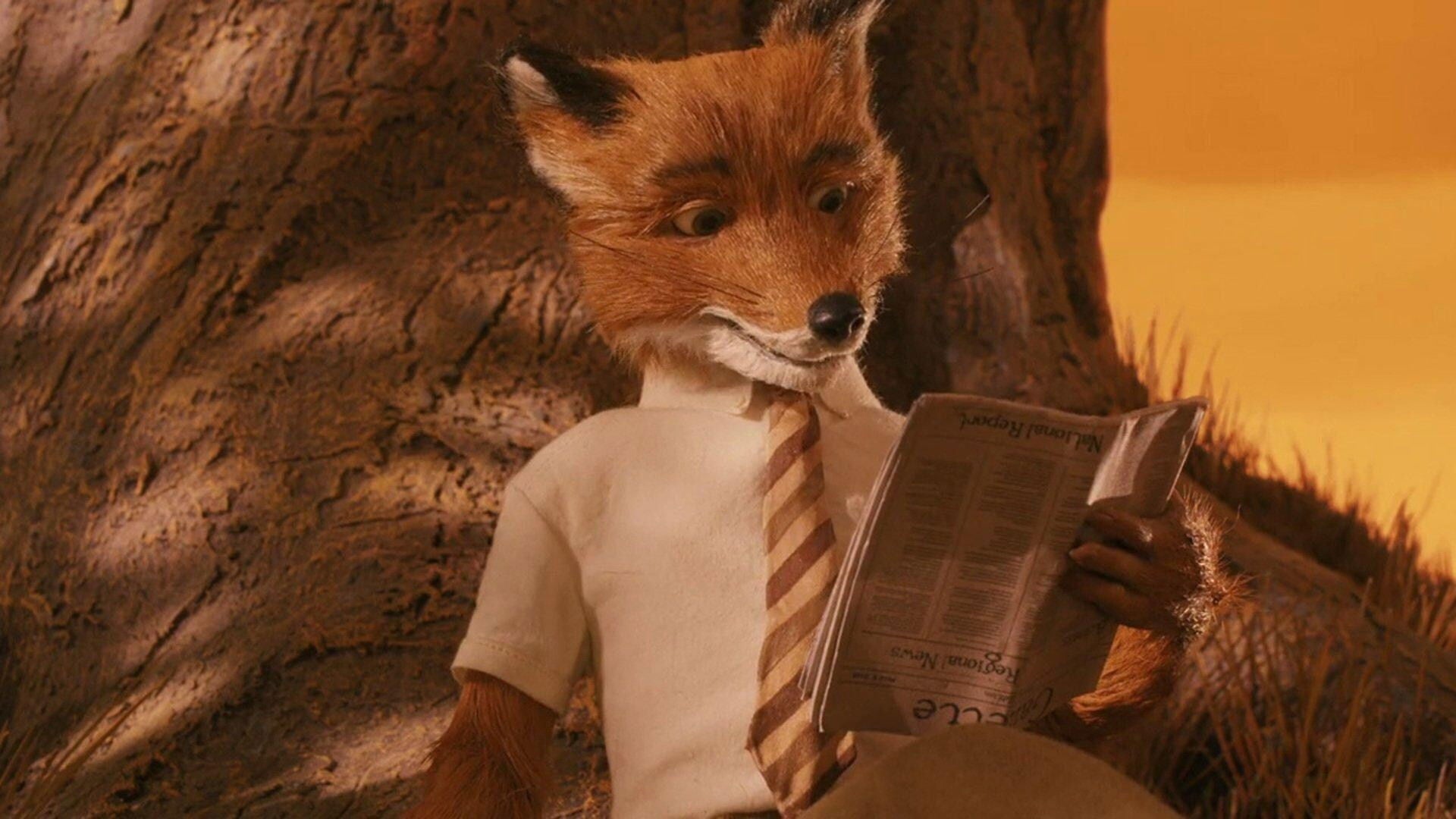 Foto do filme O Fantástico Sr. Raposo