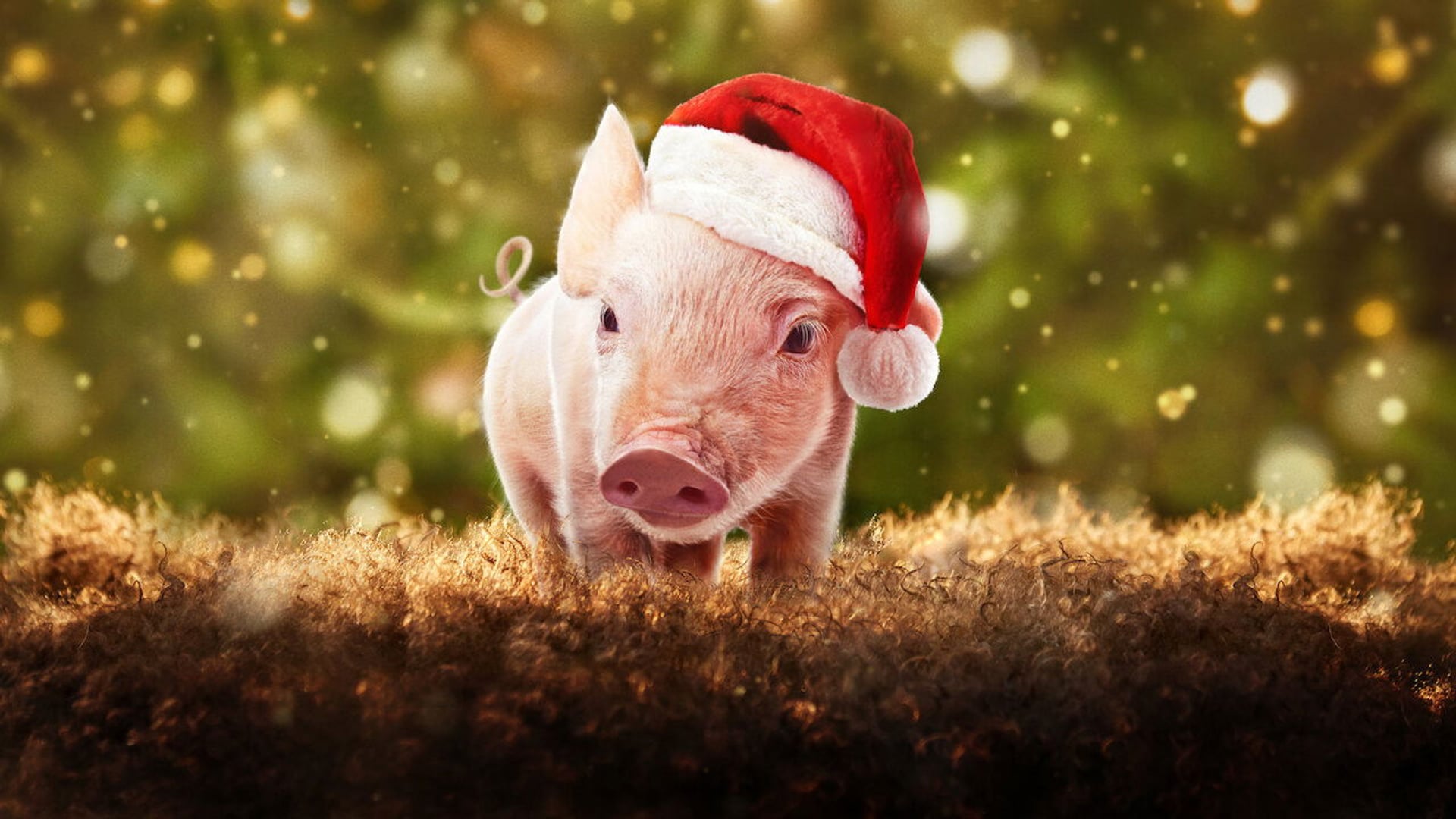 Foto do filme Nosso Natal na Fazenda