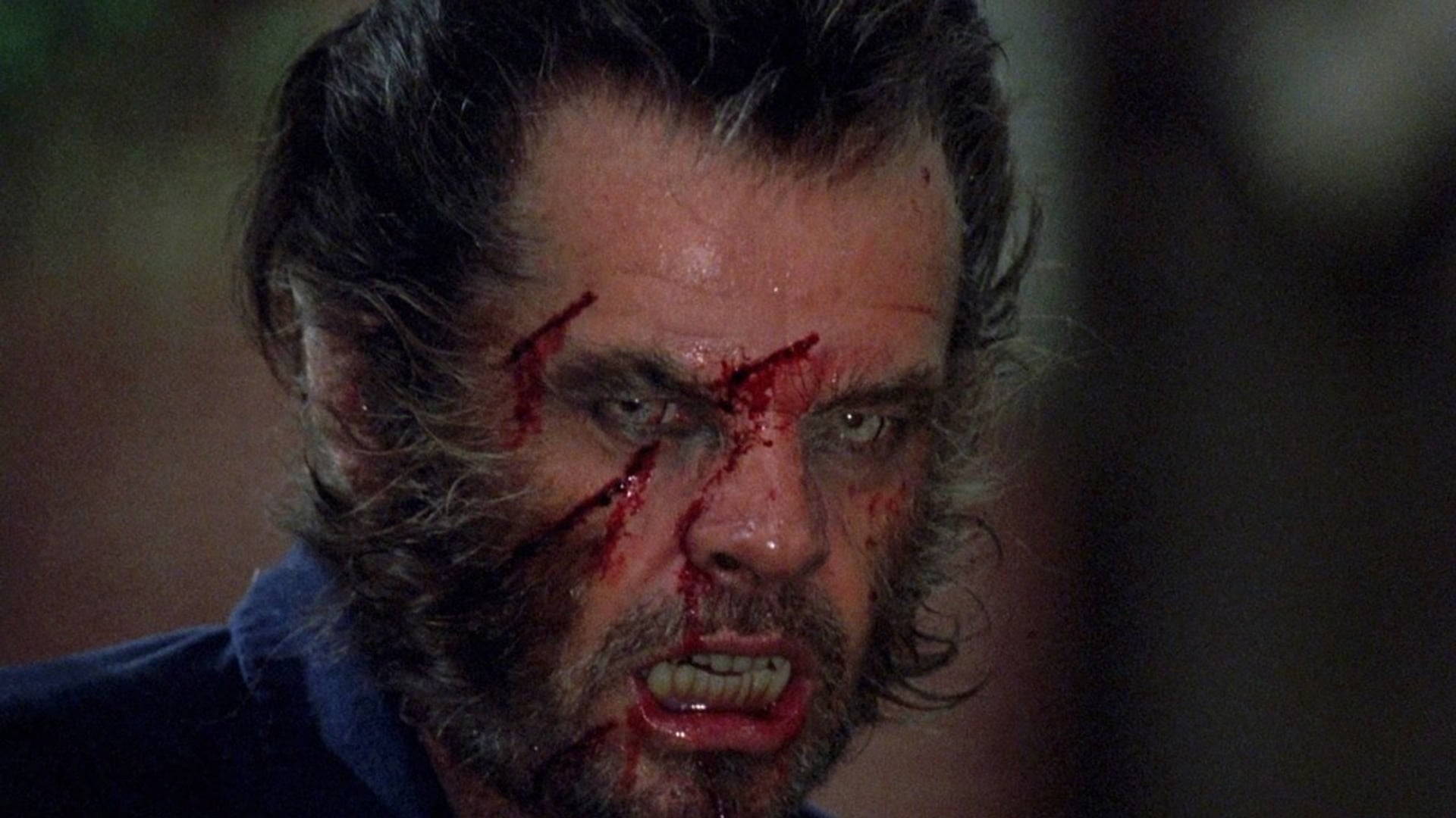 Foto do filme Lobo
