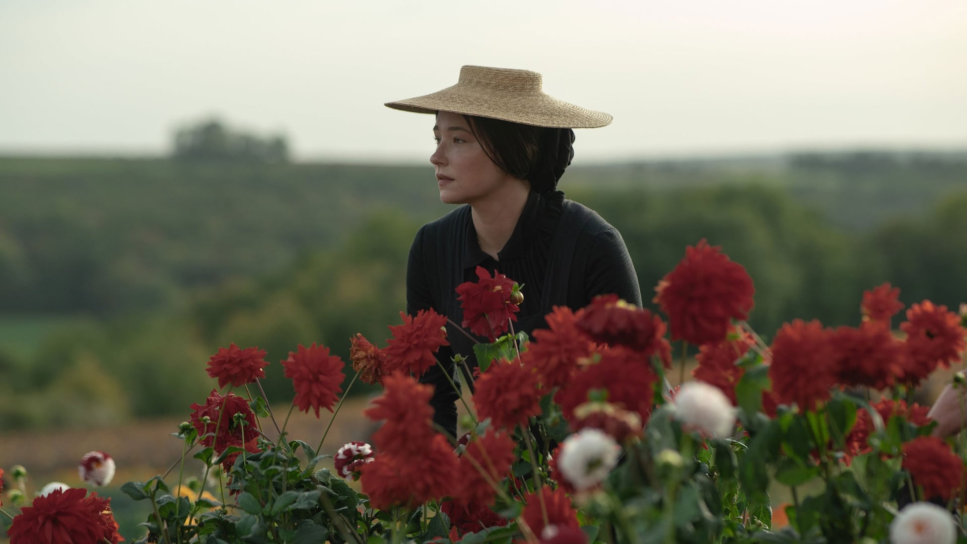 Foto do filme A Viúva Clicquot – A Mulher que Formou um Império