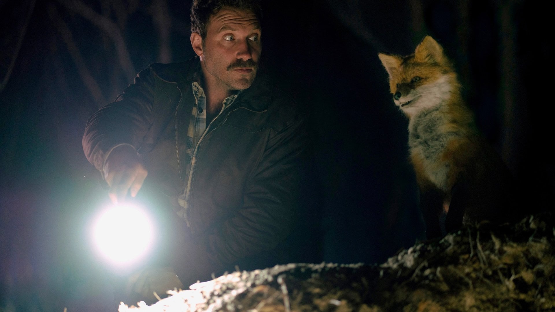 Foto do filme The Fox