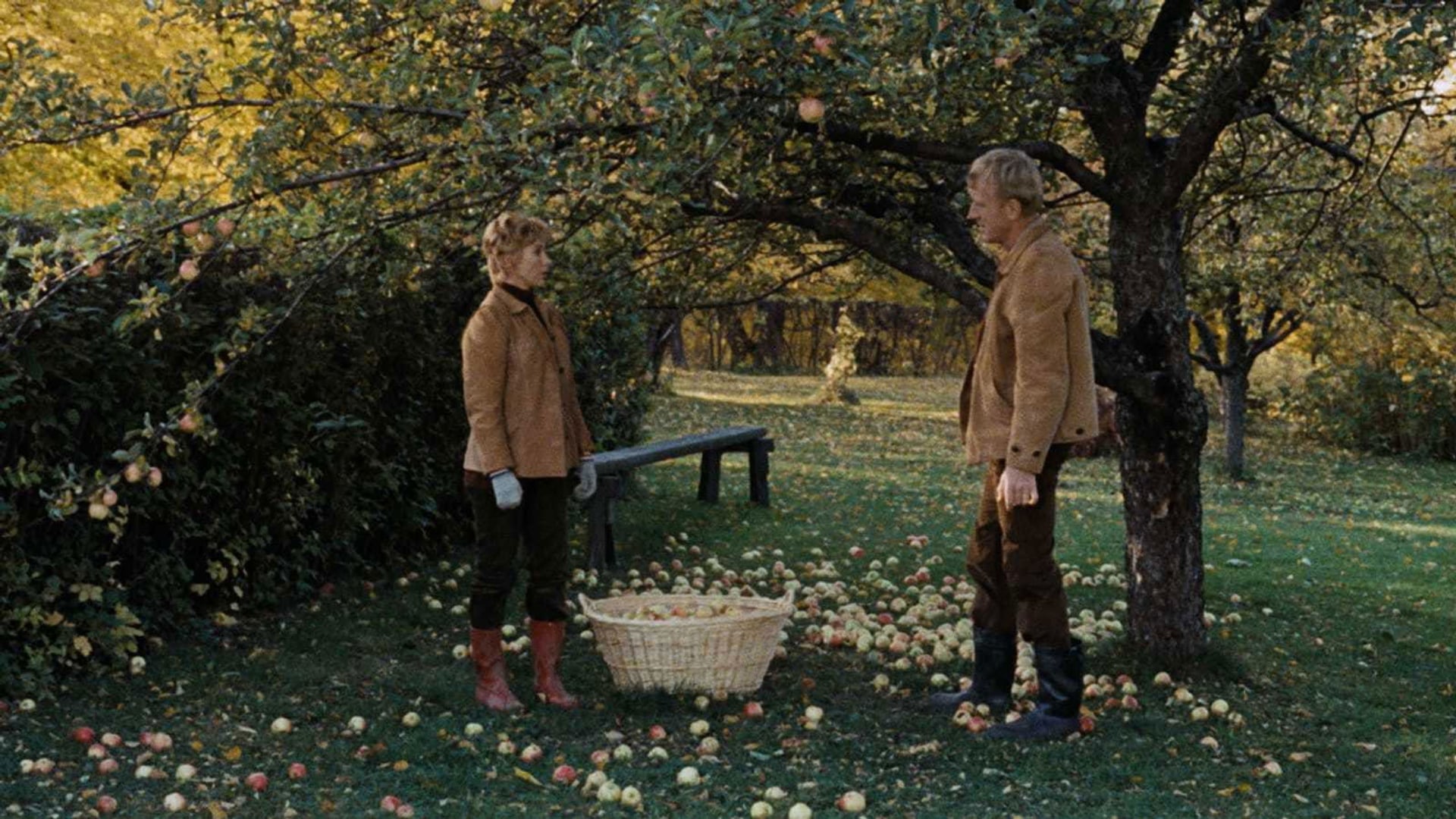 Foto do filme A Hora do Amor