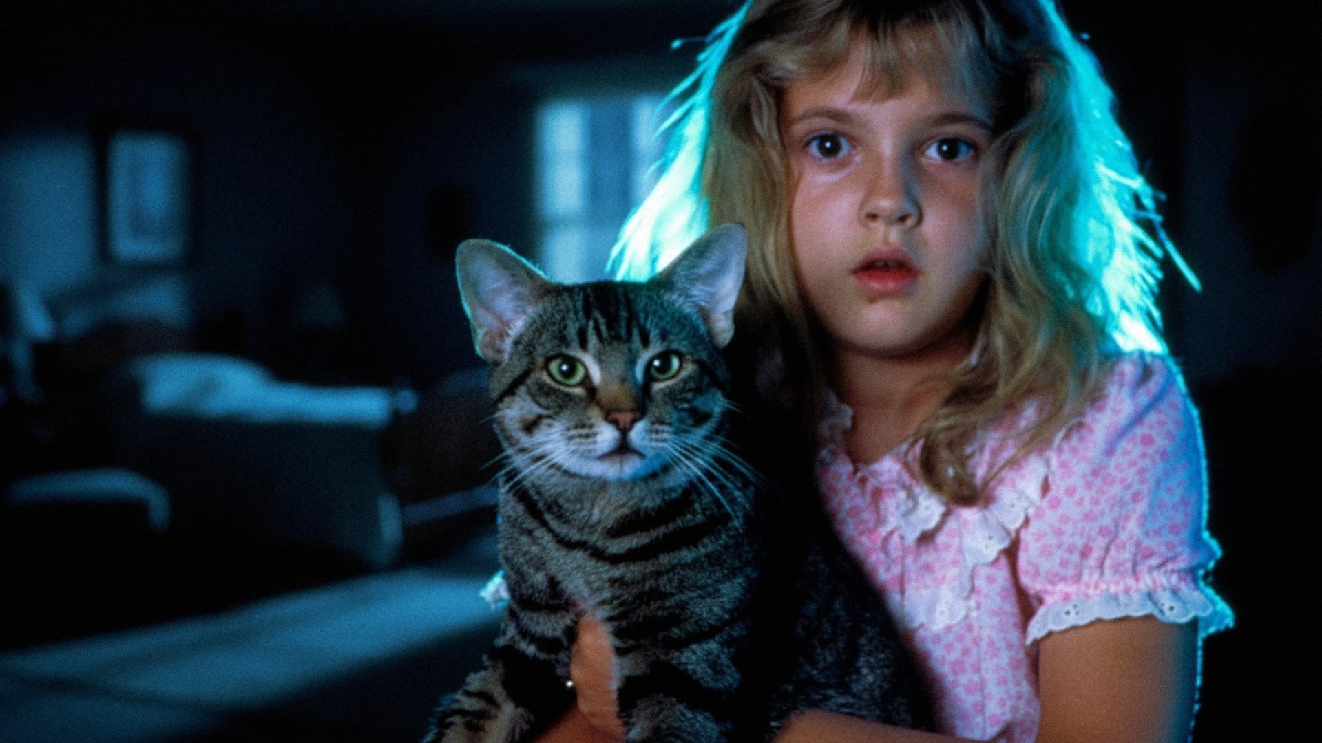 Foto do filme Olhos de Gato